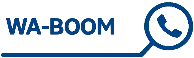 логотип wa-boom
